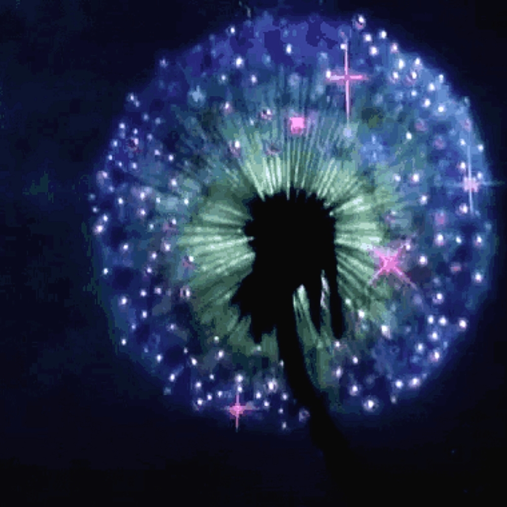 Cape Robbin Fuscia fur toed heels